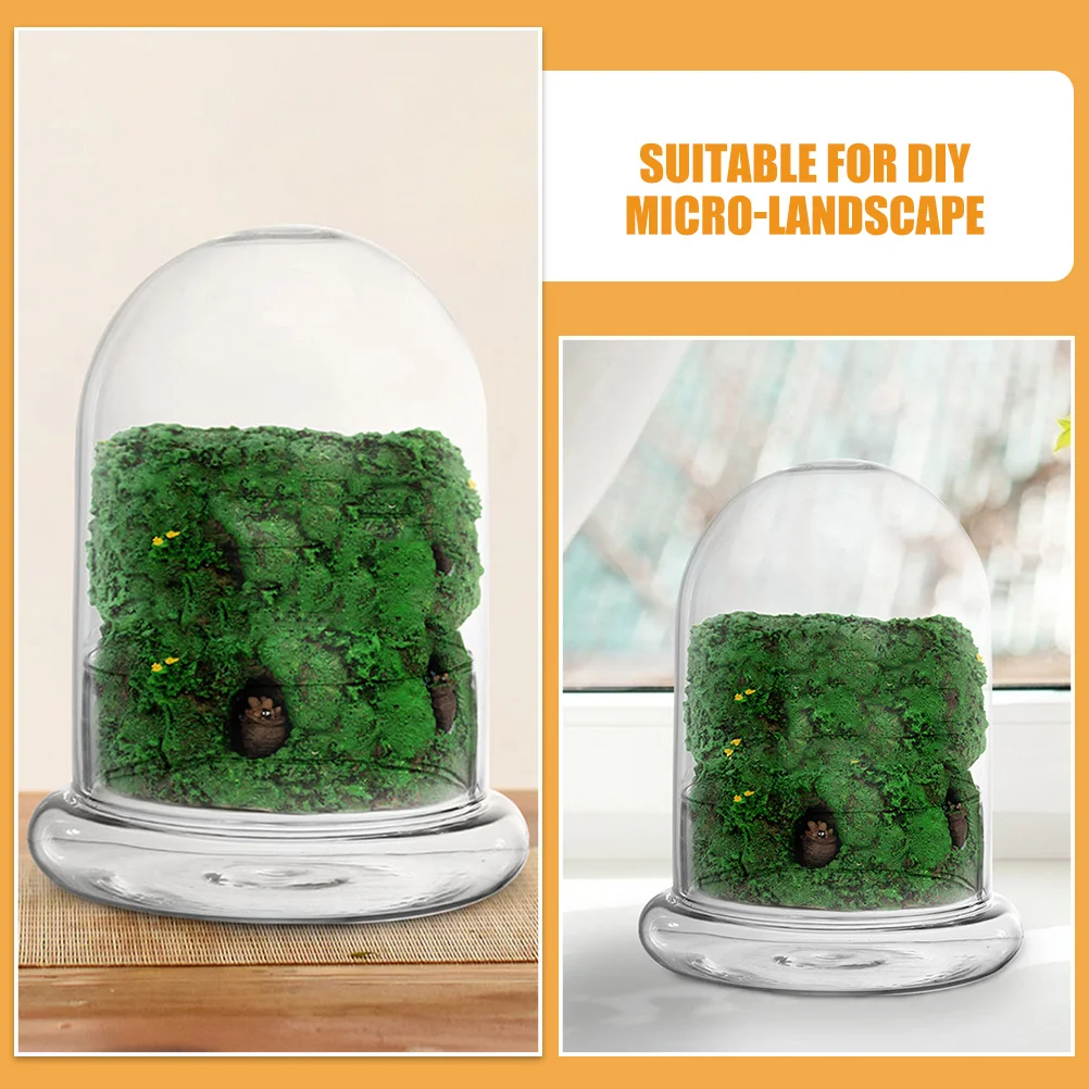 

2Pcs Moss Ecological Bottle Transparent Glass Containers for DIY Micro Landscape Table Adornment Office Bedroom Decorative