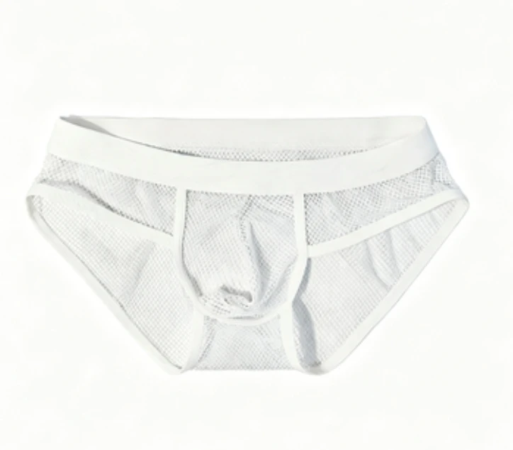 

Men Low Waist Mesh Briefs Sheer Hollow Out Sexy Breathable Underwear Youth Fashion See Through Comfortable Daily Wear Underpants