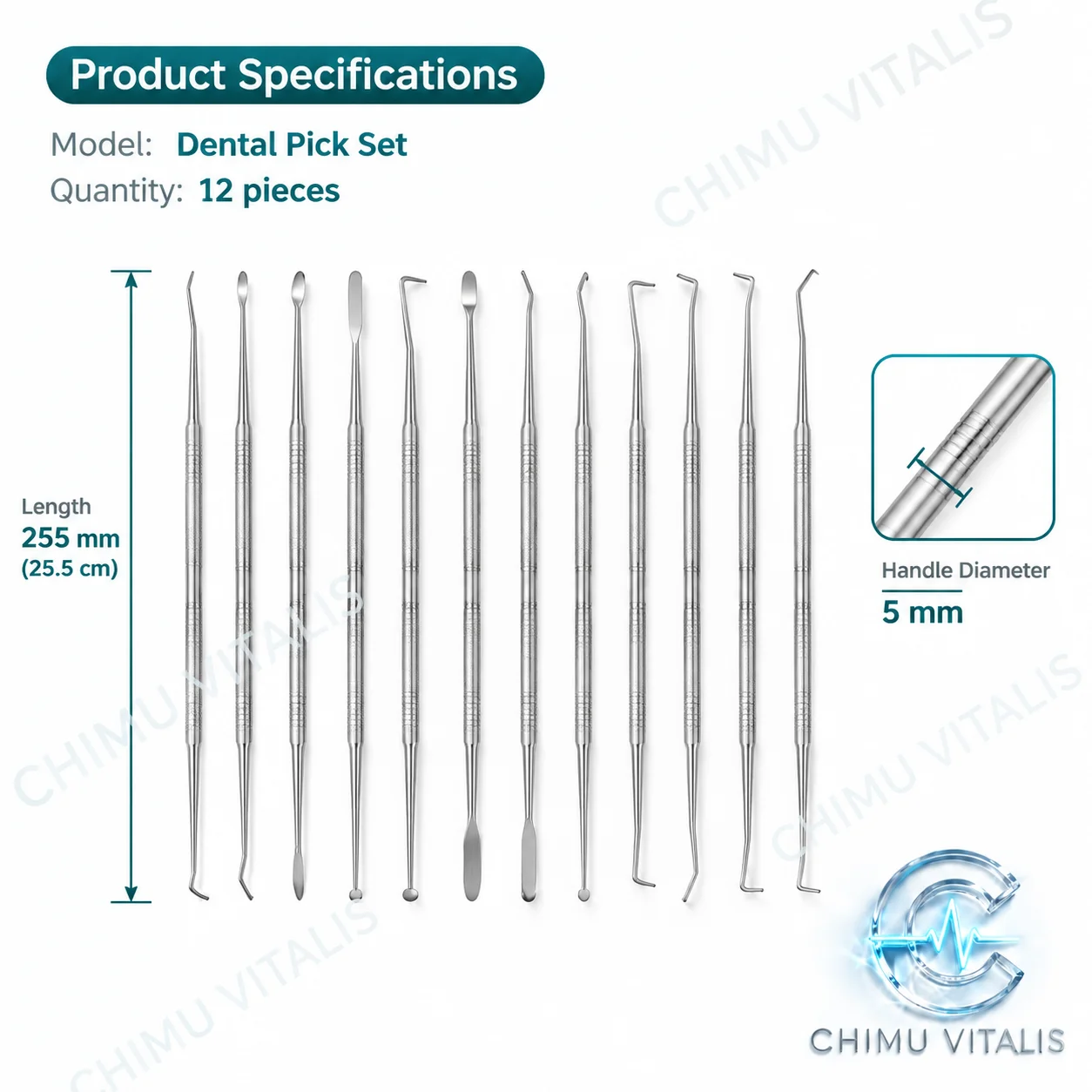 【CHIMU VITALIS 】 Nerve Stripper Stainless Steel Retractor for Precise Nerve Dissection