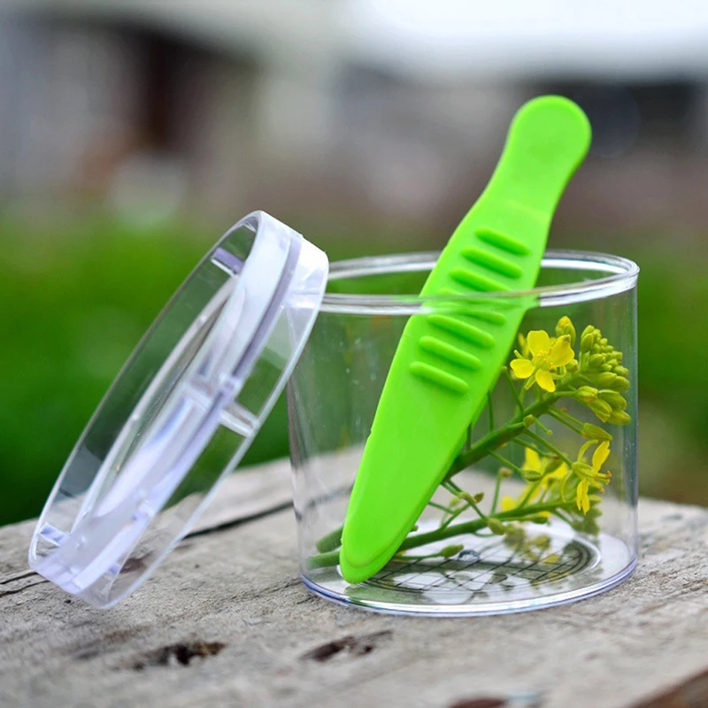 Children School Plant Insect Biology Study Tool Set Plastic Scissor Clamp Tweezers Cute Nature Exploration Toy Kit For Kids