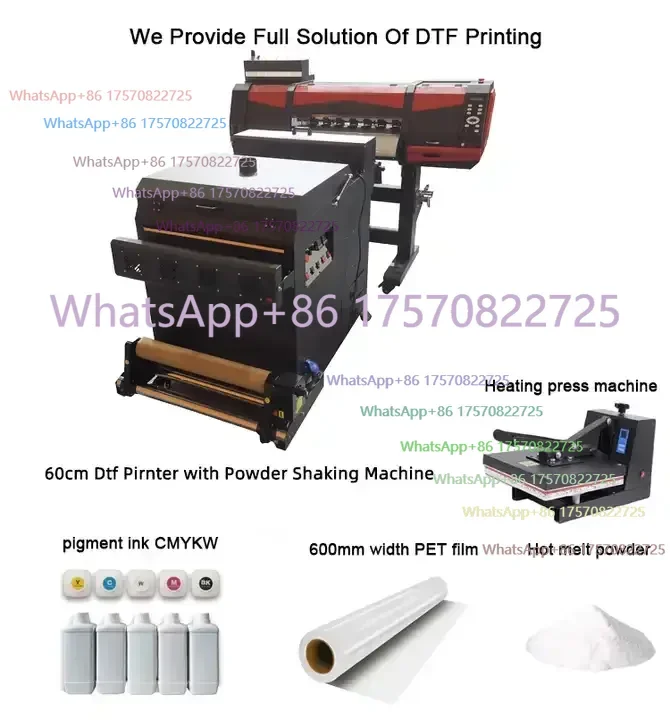 Clara Tools Storedu…