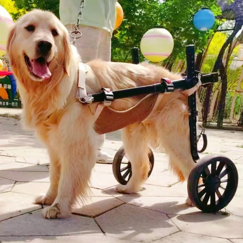 Silla de Ruedas para Perros Medianos y Grandes, Carrito de Soporte para Patas Traseras, Ayuda de Movilidad para Mascotas con Discapacidad, Scooter Ligero para Entrenamiento y Caminatas