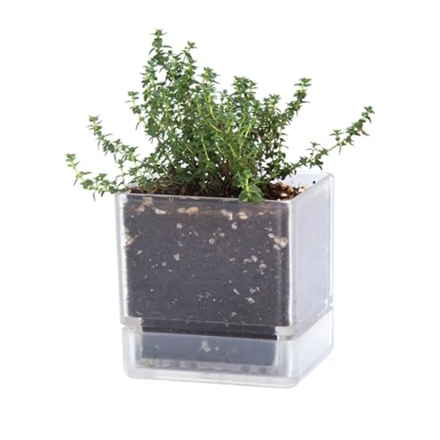 Herb Planter Pot, Acrylic Planter with Draage Holes and Saucer, Modern Decorative Gardeng Pot for door Plants, Herbs, Succulent