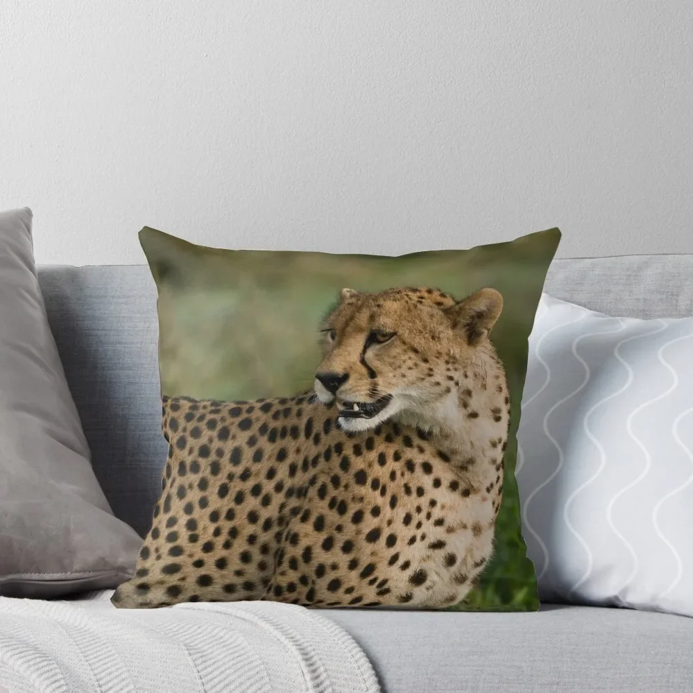 

Cheetah in Tanzania, Africa Throw Pillow Sofa Cushion Cushion Cover Luxury ornamental pillows for living room pillow