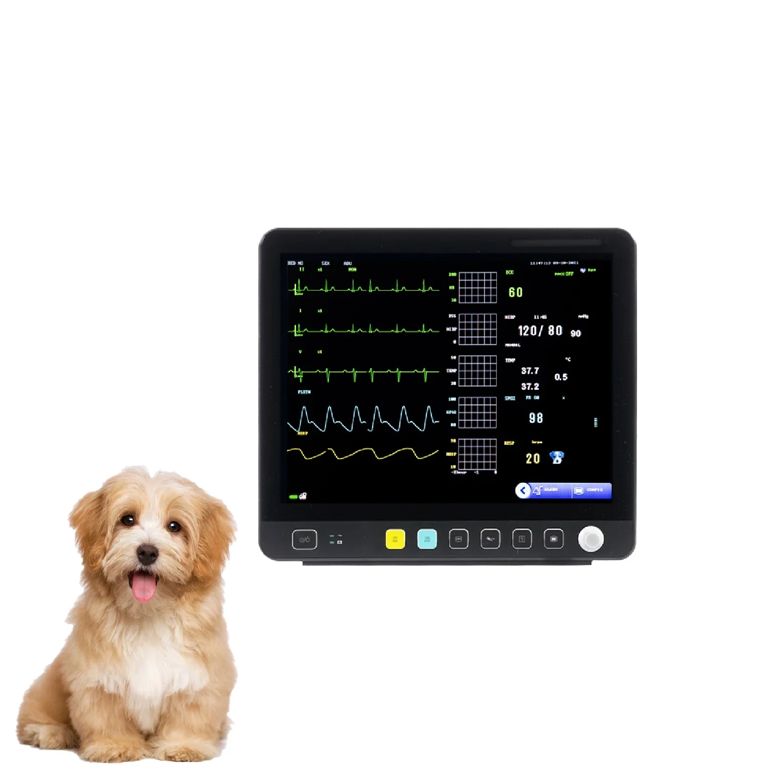 Yonker Multi Parameter Electrocardiography  Veterinary Hospital Clinic Surgery Animal  ing Device