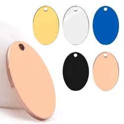 100PCS Dog Id Tag Pet Collar Accessories Name Mirror Polished Blank Charm Round Personalized Sizes Stainless Steel Keychain