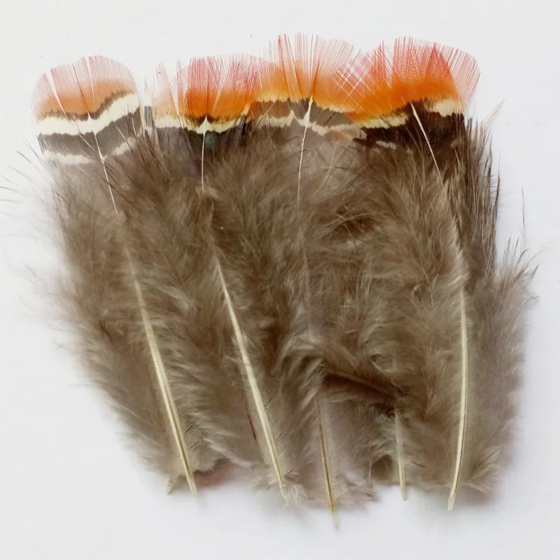 New! 200Pcs/Lot 5-7CM Red-tipped Lady Amherst Pheasant Body Plumage Feathers,Loose Pheasant Feathers,Plume Decoration