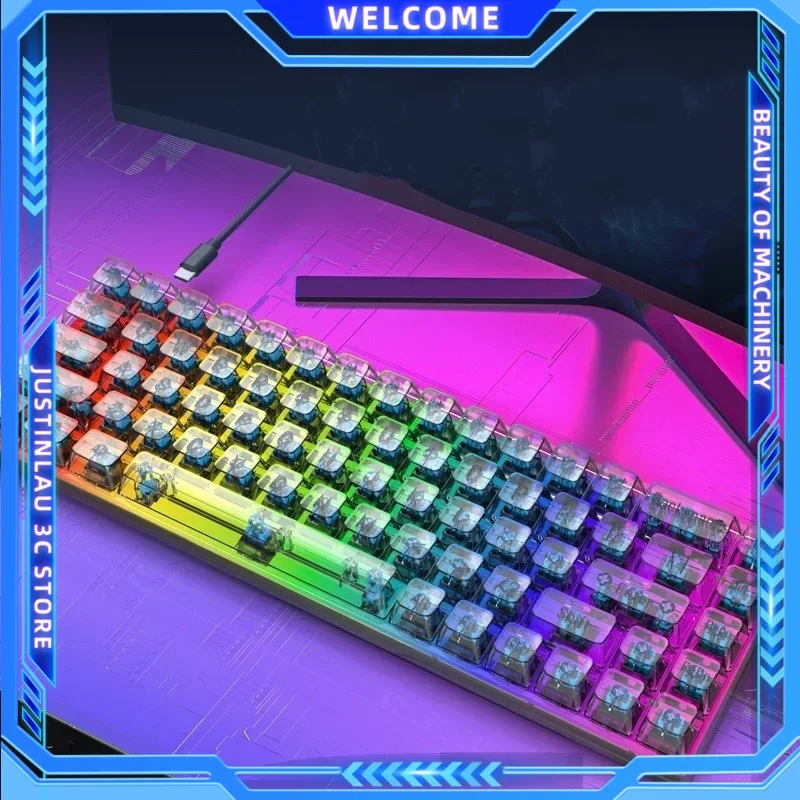 Mechanical Keyboard Transparent Keycap Rainbow Hot swap RGB LED Light Backlit Game Keyboard Type-C Wired 68 Key Keyboards