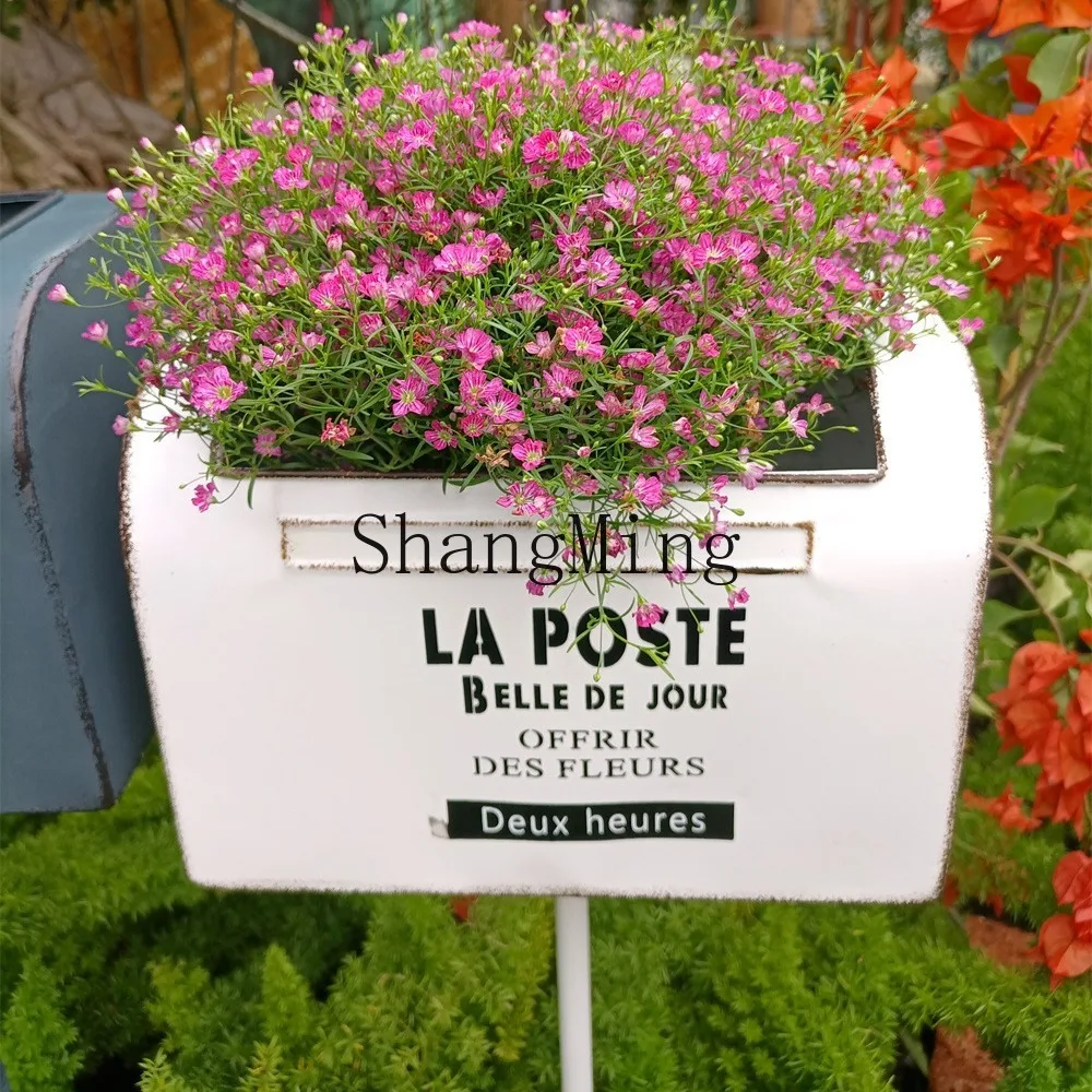 

SM Premium Villa Garden Landscape Floor Insert Mailbox Pot Famous Official Balcony Decorative Flower Insert Pot