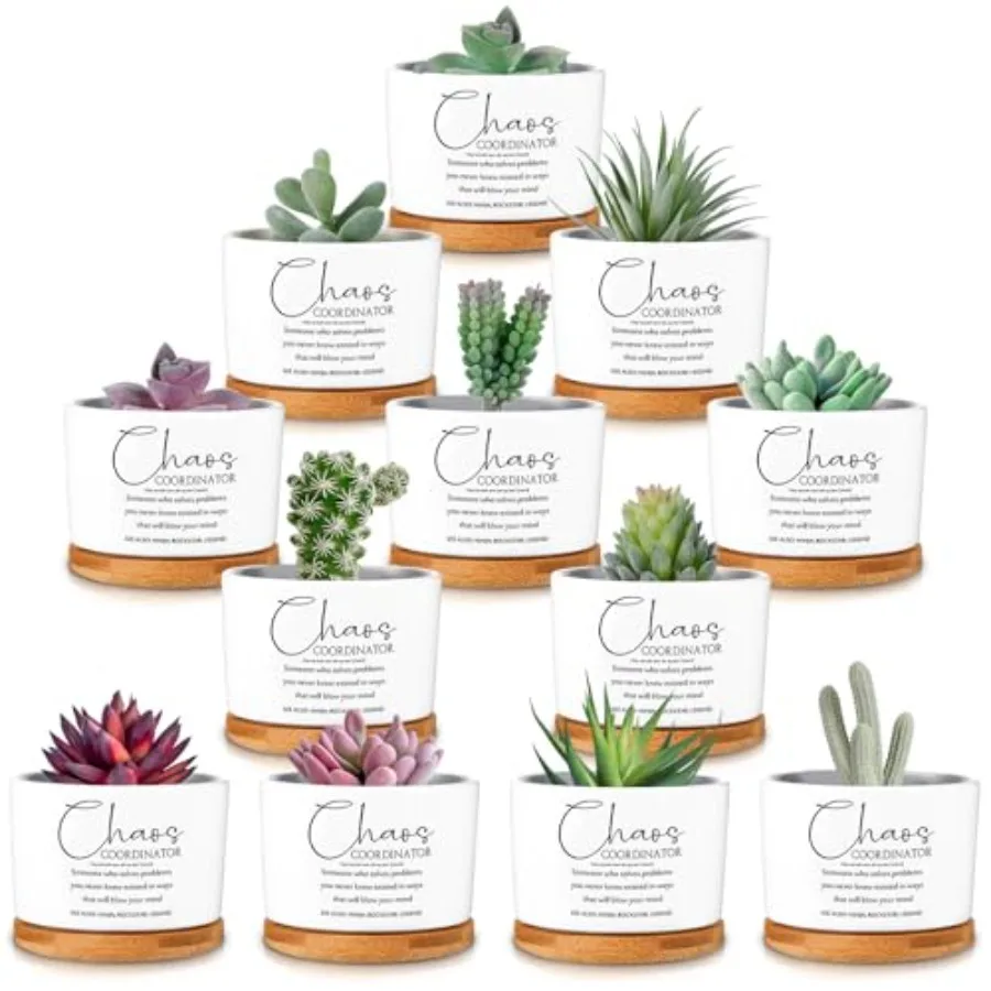 

12 Pcs Gifts Succulent Pots Employee Appreciation Gifts Bulk for Women Coworker Teacher Small Ceramic Plant Pots with Bamboo Tr