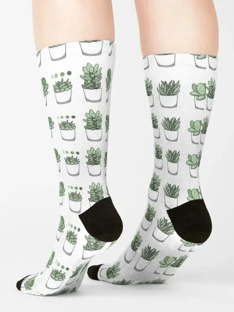Tiny Potted Succulents and Gradient Socks fashionable cotton sport short Men's Socks Luxury Women's