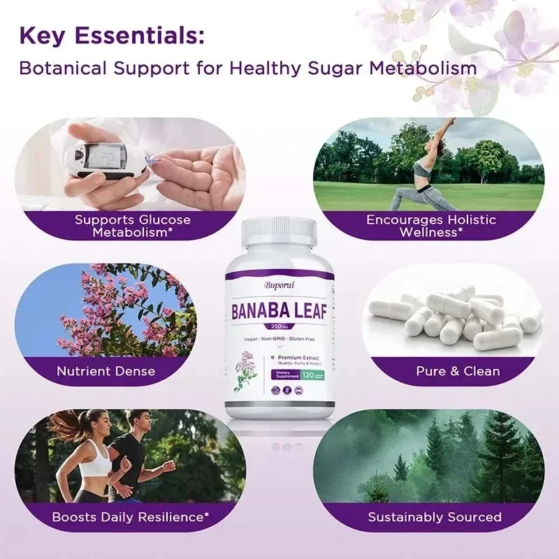 바나바 잎 - 스트레스와 불안 감소, 활력 증진, 건강한 혈중 수치, 전반적인 건강 유지, 면역력 향상