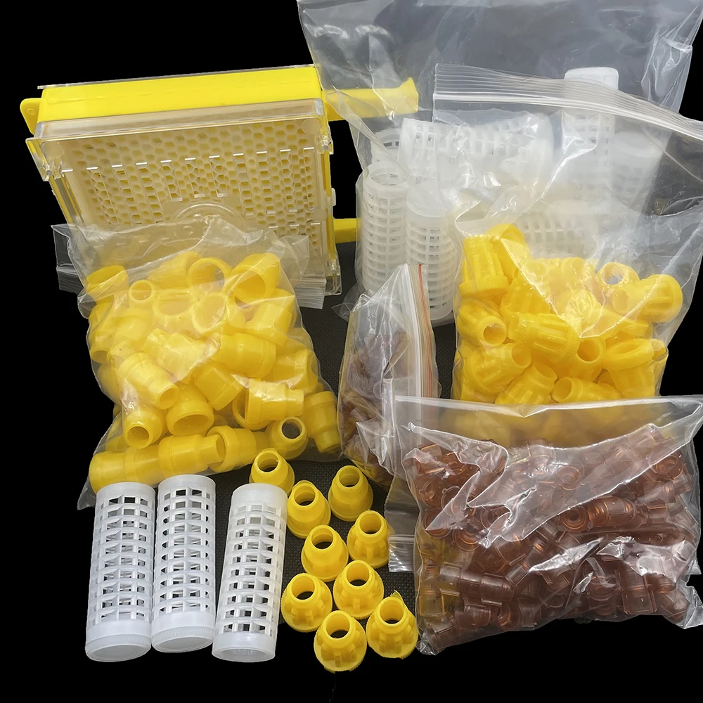 Jenter Kit Plastic Queen Protection Cover Cage Cell Holder Breeding Incubator Box High Accepted Apiculture Beekeeping Products