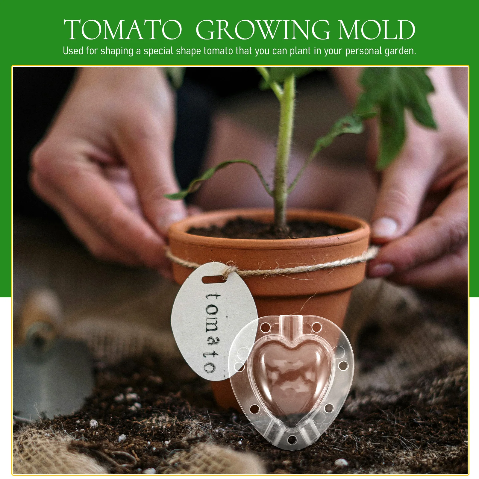 

2Sets Heart Shape Tomato Growing Mold Transparent Plastic Reusable Fruit Vegetable Growing Mold for Garden Plants DIY