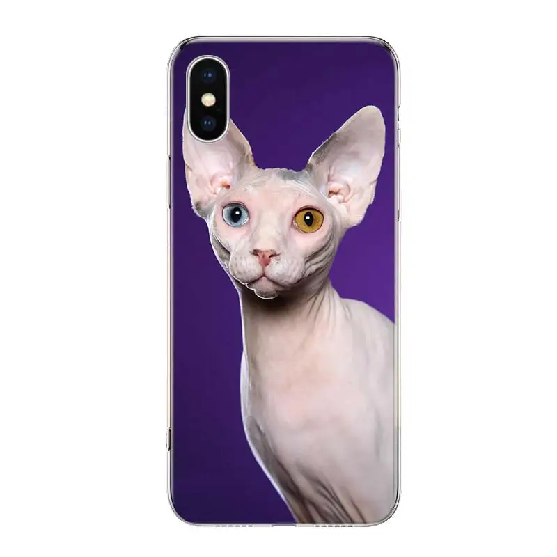 Lavaza Sphynx Sphinx Cat Case for iPhone 12 13 Mini 14 Plus 15 16 Pro Max 11 X XS Max Clear TPU Protective Phone Cover