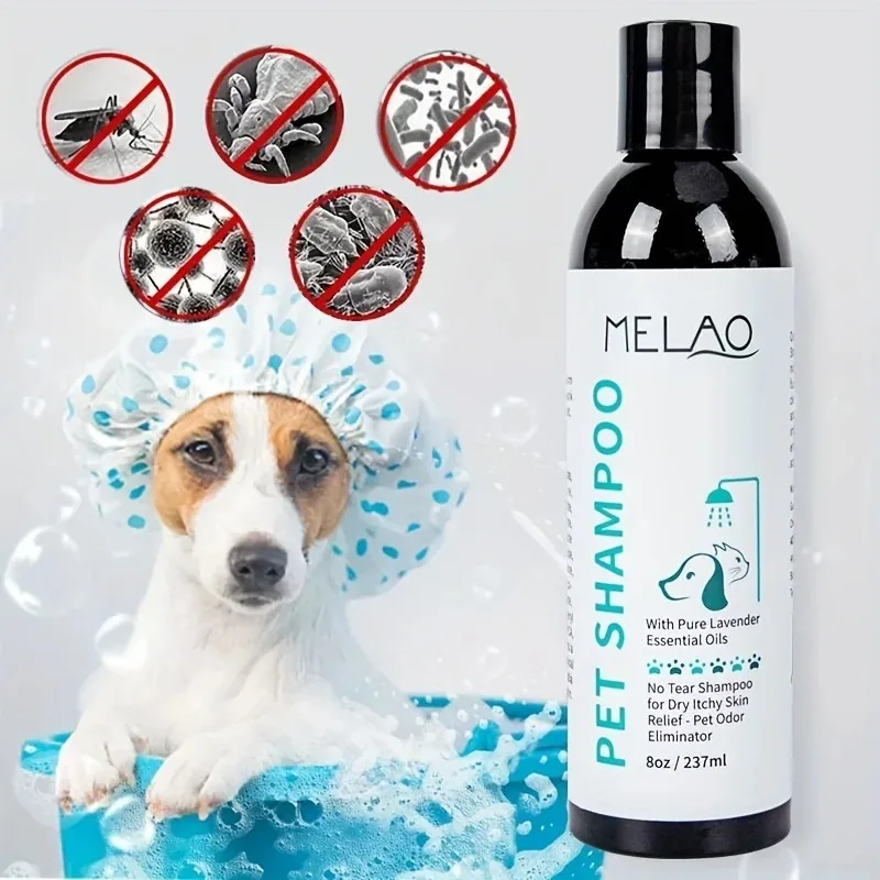 dry dog shampoo