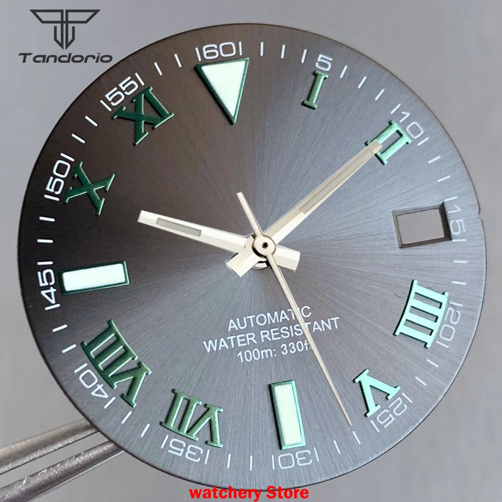 Tandorio 29mm Gray Roman Sunburst Watch Dial Face Hands Set For Japan NH35A NH36 NH38 Movement For Datejust Watch Parts