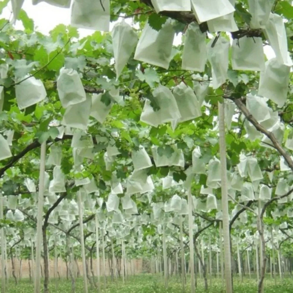 

100 шт. нетканых мешков для защиты фруктов от птиц, дышащие, отпугивающие насекомых, с защитой от солнца и коррозии, для посадки растений