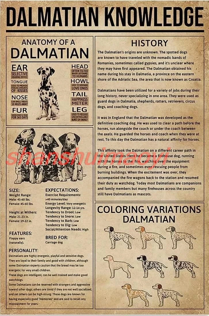 MAI Youpinnong Dog Metal Signs Dalmatian Knowledge Tin Poster Coloring Variations Dalmatian Posters Painting For Living Room Be