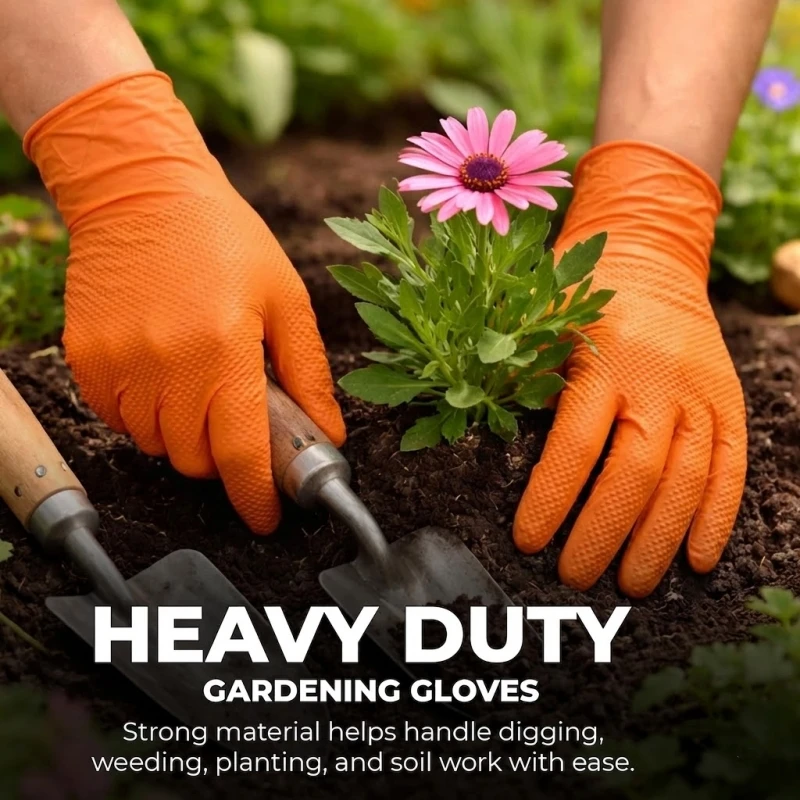 Thumbnail 4 - #37 Disposable Gloves Discount Picks