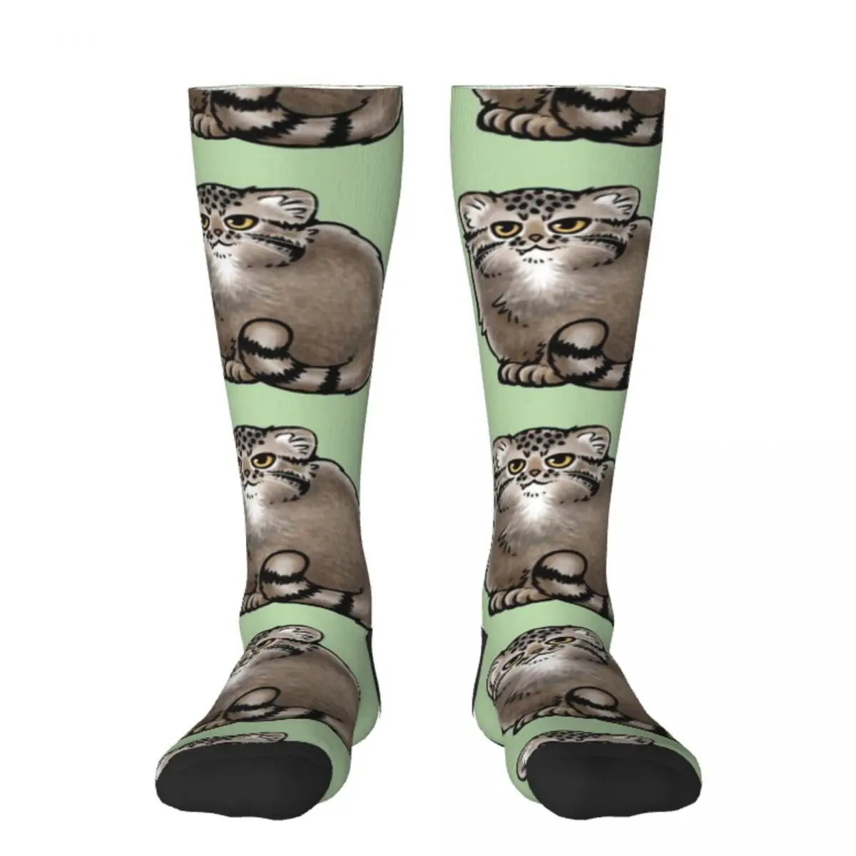 

Pallas's Cat / Manul Cat Socks sports and leisure Stockings Socks Man Women's