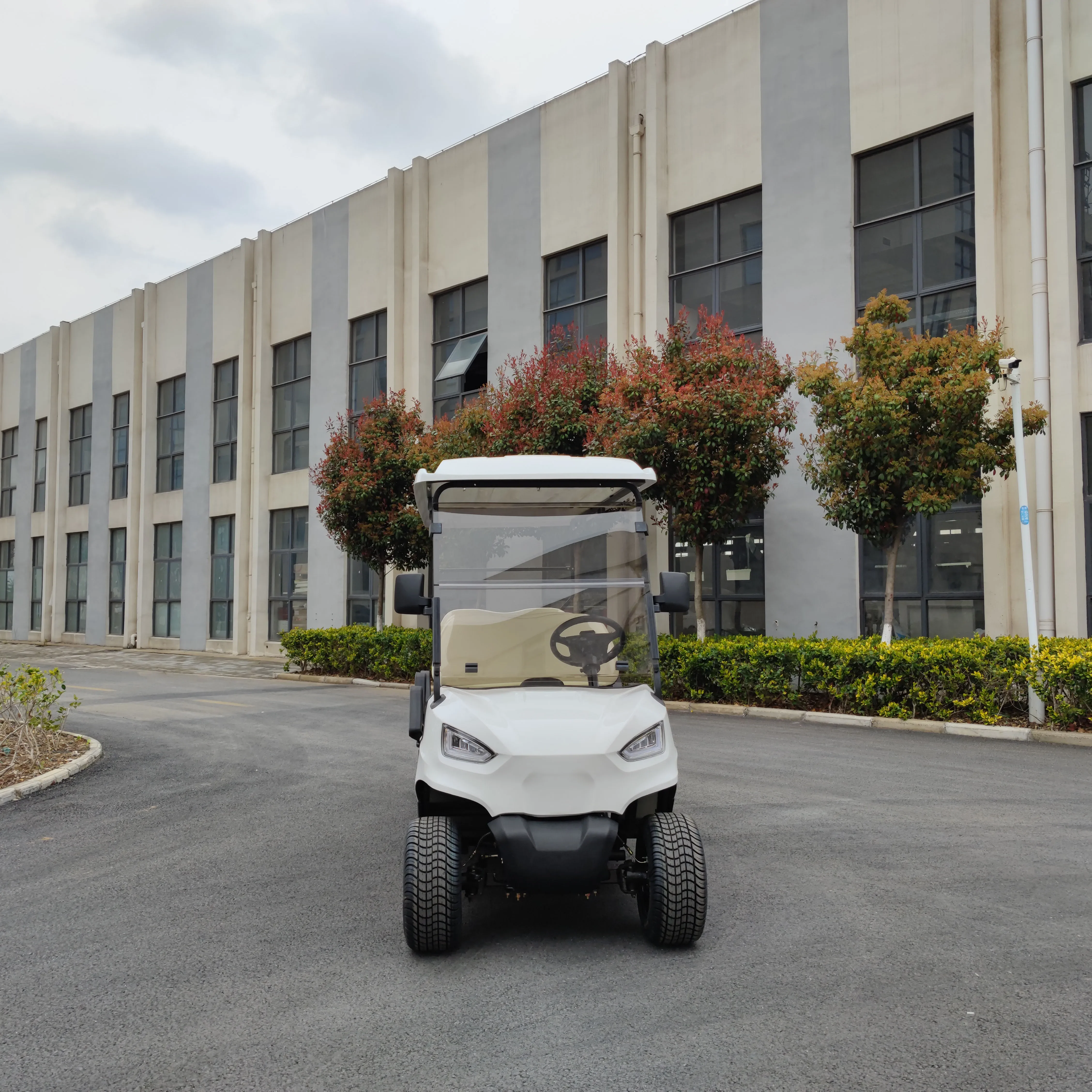 electric 6 person golf cart on sale