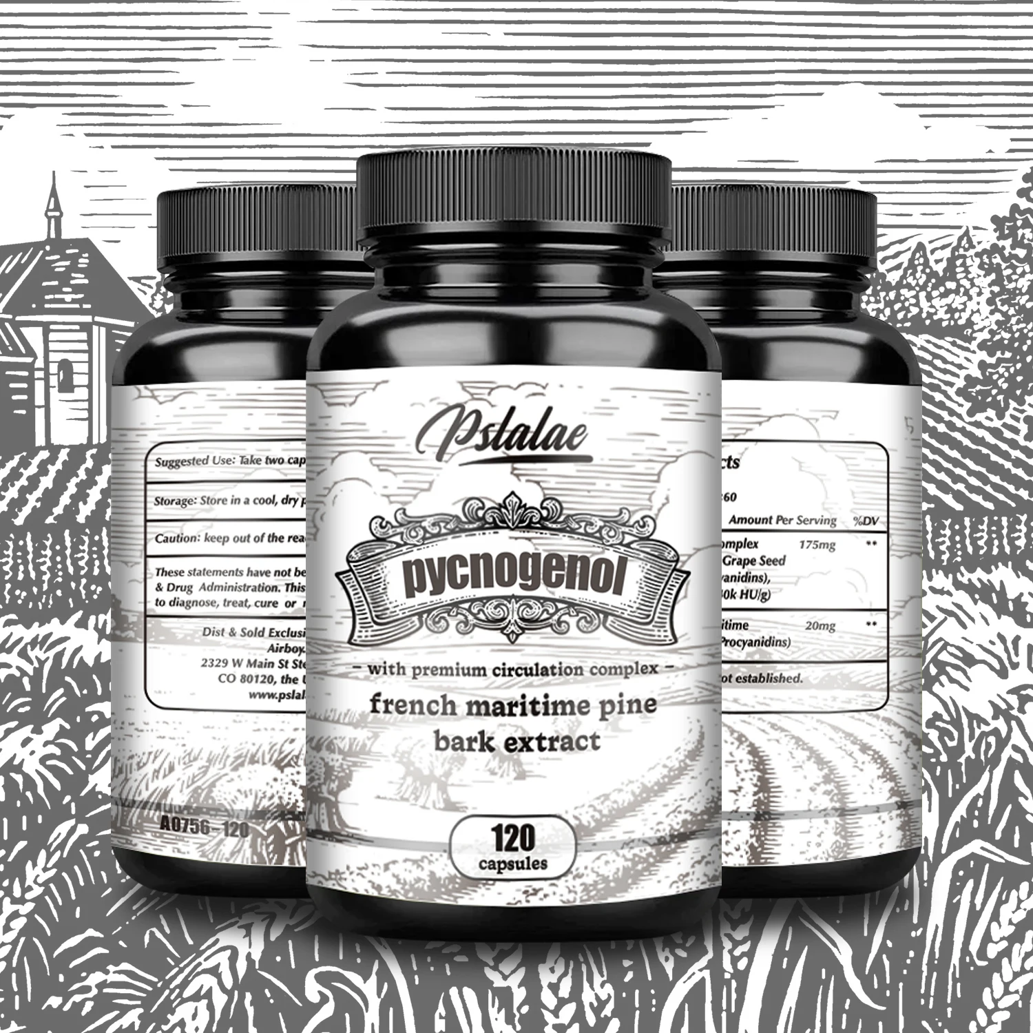 Pycnogenol French Ocean Pine Peel Extract - Improves Blood Flow and Circulation, Antioxidant - Vegetarian, Non GMO Supplement