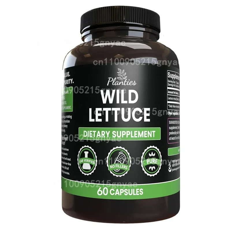 

Wild Lettuce - Improves Sleep Cycles, Mood Booster, Boosts Immunity