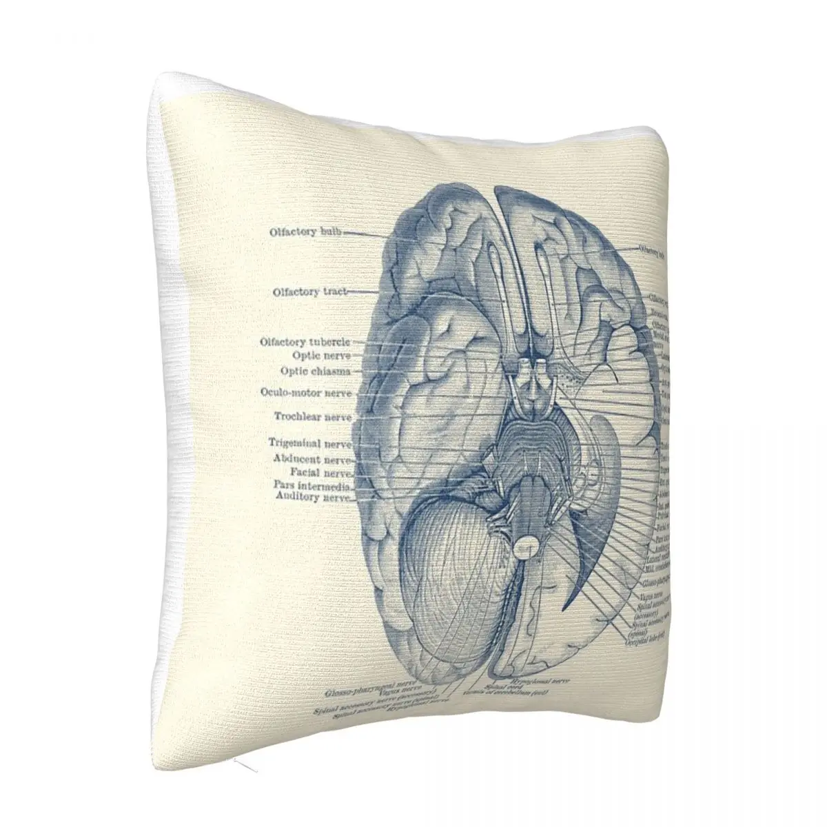 Brain Nervous System Diagram Pillow Case Cushion Cover 45X45 Cushions Cover Pillow Case Pillow Cover