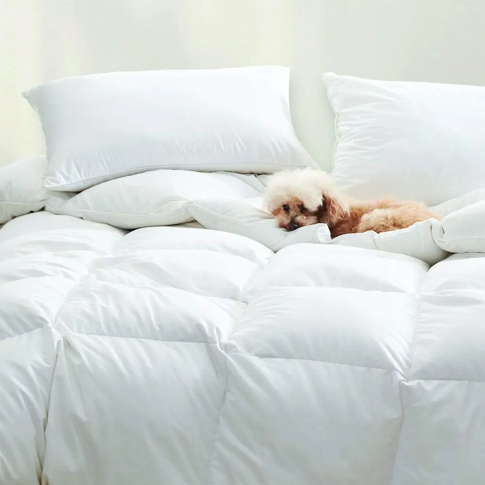 

Dreamstead Down Alternative Comforter Soft, Lofty, Cloudlike 100 Cotton, Percale Weave Premium European Fill Duvet Insert Hypoa