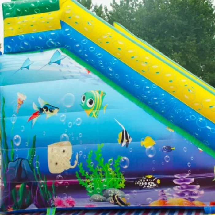 Commercial Ocean Theme Dual La - đánh giá và giá Water Slide Inflatable