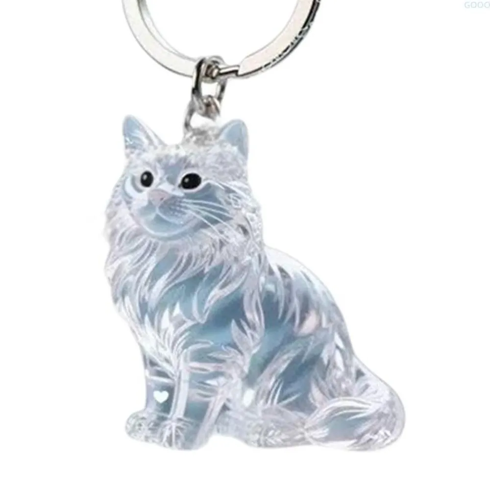 Transparent Cat Hair Storage Box Bag Charm Maine Pet Hair Memorial Keepsake Capsule Shape Dog Fur Container for Pet Lovers