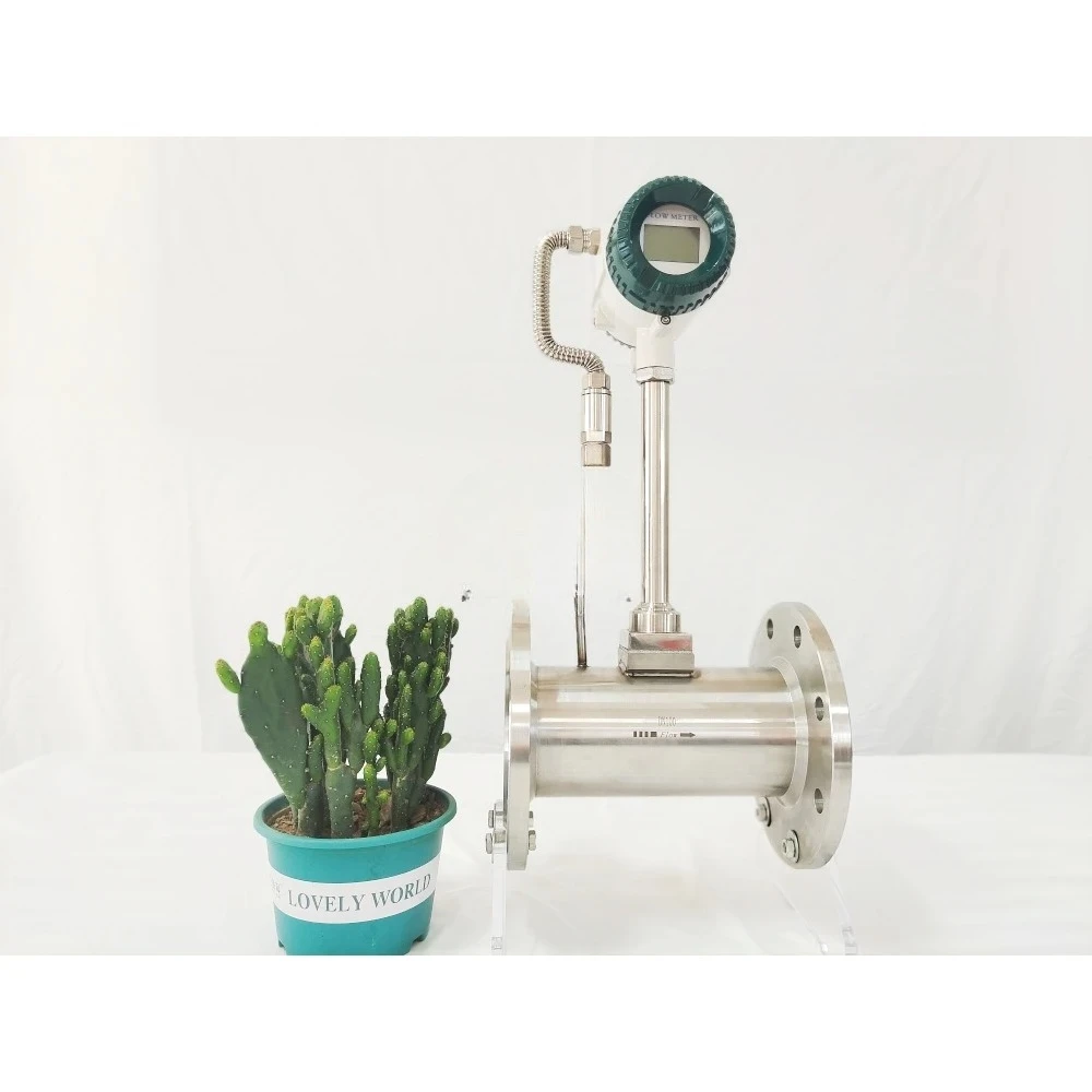Vortex Flow Meter, DN100 2
