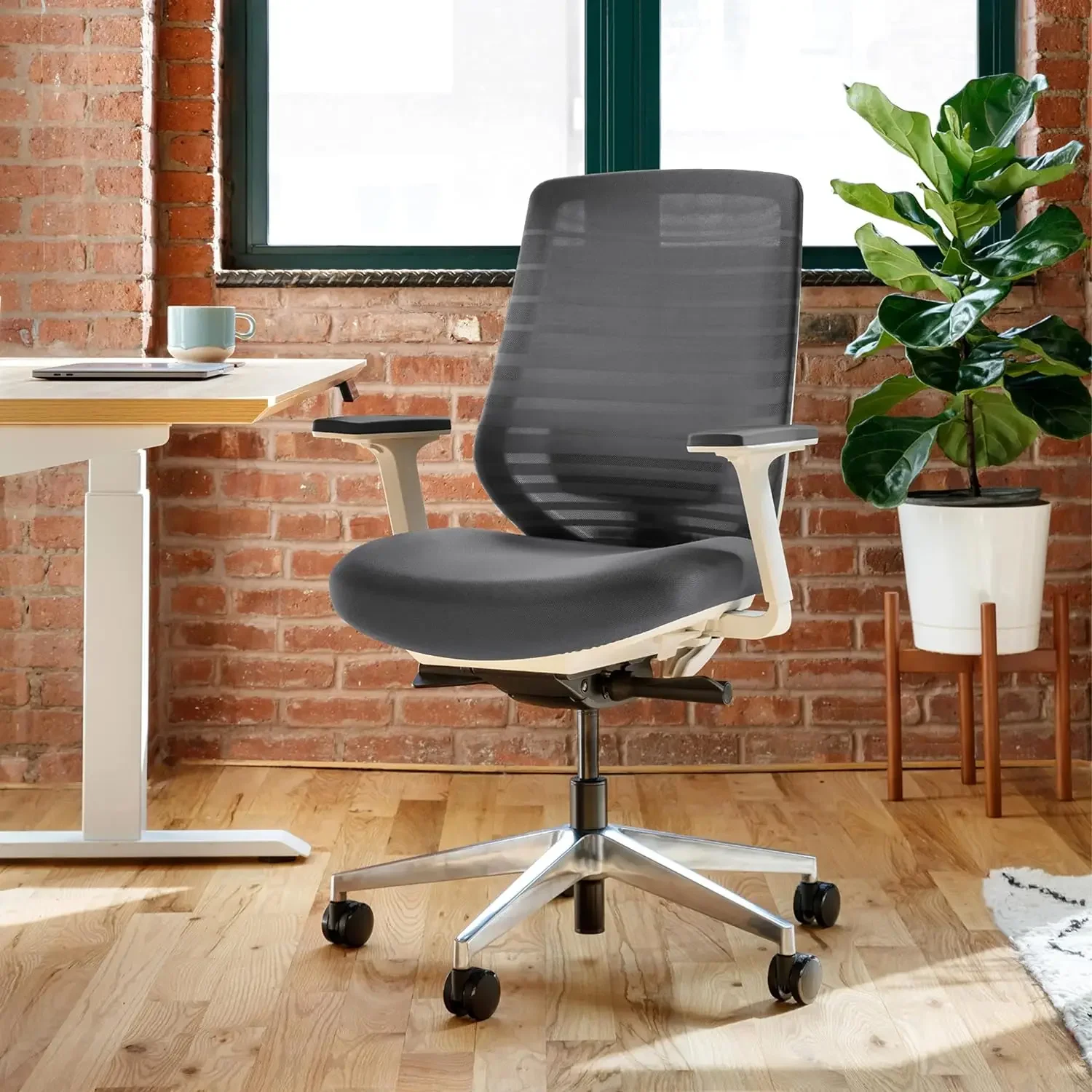 Branch Ergonomic Chair - A Versatile Desk Chair with Adjustable Lumbar Support, Breathable Mesh Backrest, and Smooth Wheels