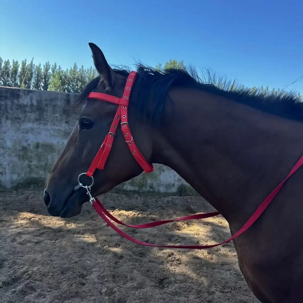 رسن حصان سميك، حزام قابل للتعديل، ثلاثة ألوان، نقالة رقبة الحصان، حبل تدريب لجام الحصان عالي التحمل