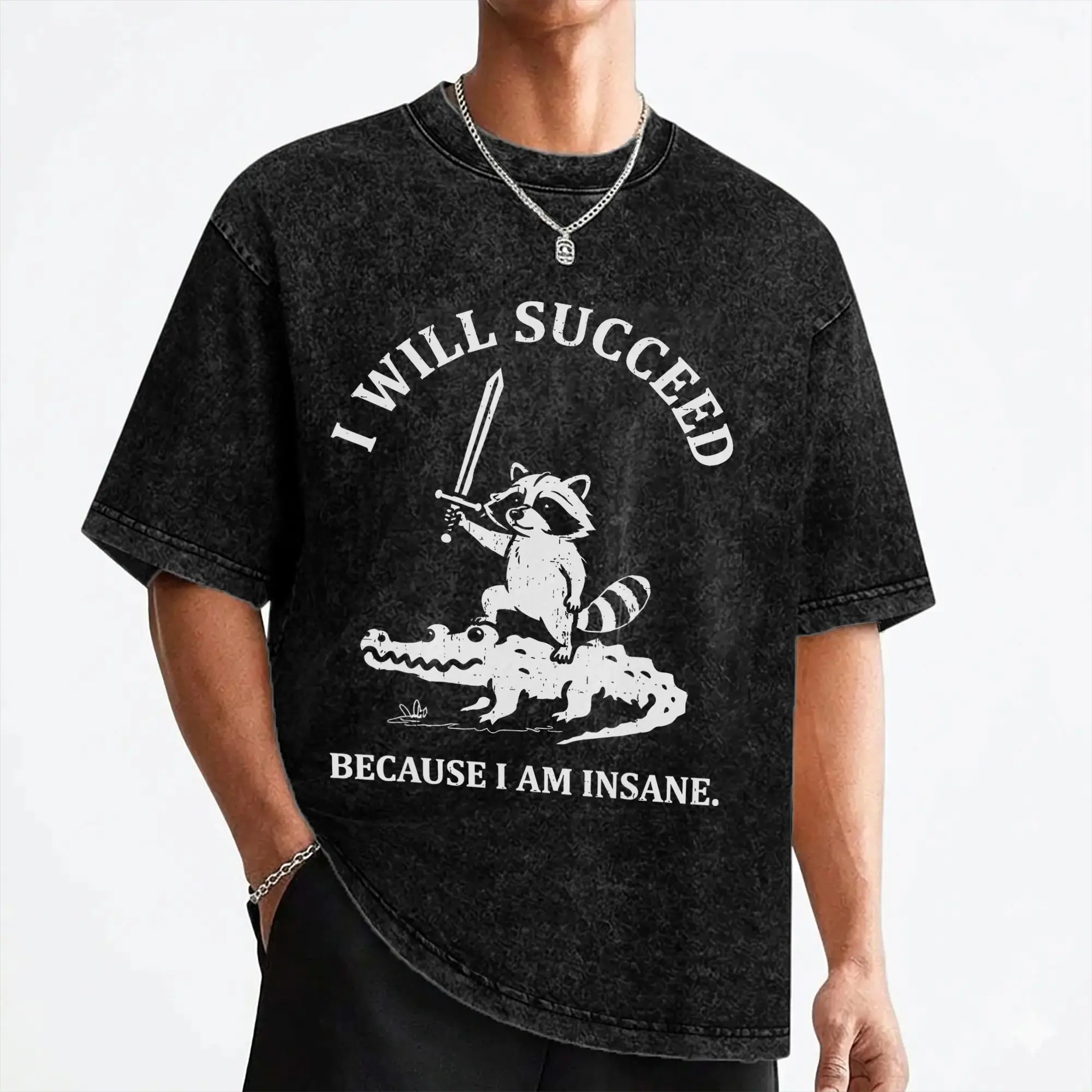 I Will Succeed Because I Am Insane Jimothy Viral Raccoon T Shirt Hip Hop Washed Harajuku T-Shirts  Vintage Men Streetwear Tees