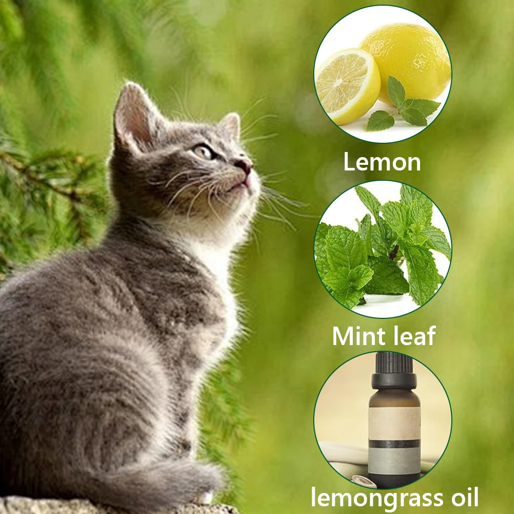 cucumber juice
