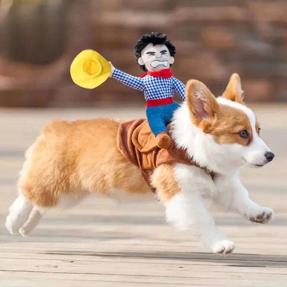 

Party dog costume, fun cowboy jacket, French Bulldog and Chihuahua small and large dog clothing