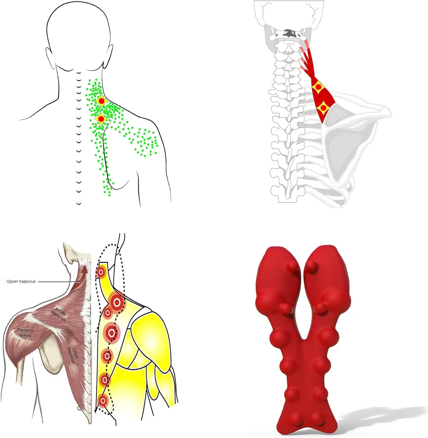 Manual Neck and Shoulder Massager for Pain Relief, Trigger Point Release Tool for Upper Back Tension view 4