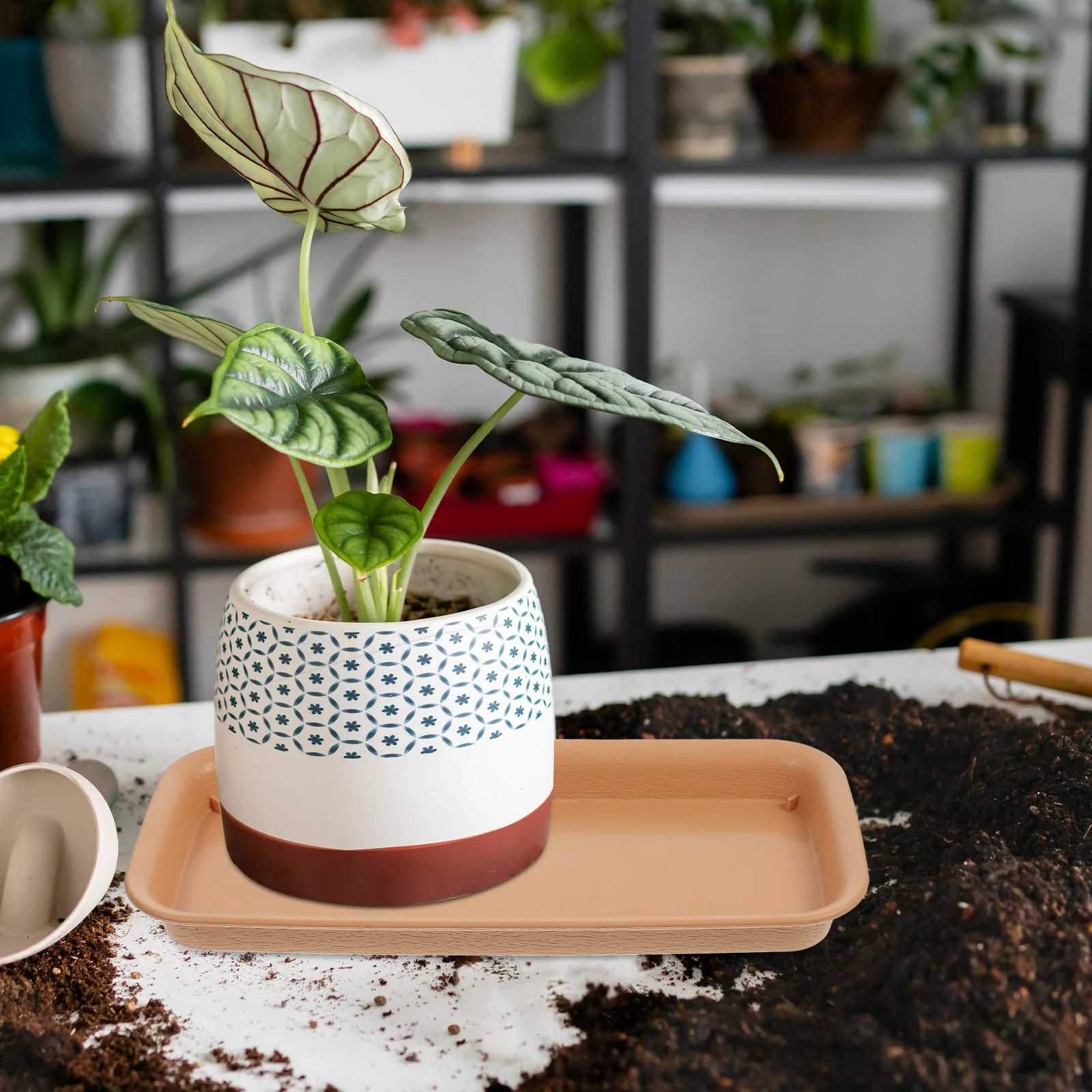 

3Pcs Plant Saucer Trays Rectangular Plastic Flower Pot Drip Tray Durable Water Tray for Indoor Plants Plant Saucers