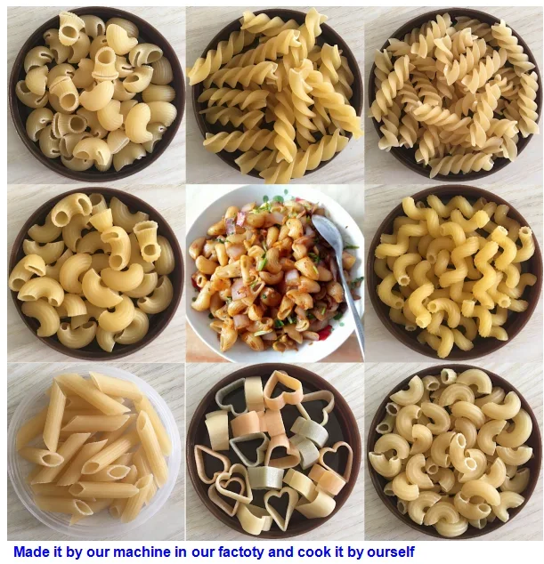 15kg Factory Price Pasta Machine Maker With Manufacturer Provided