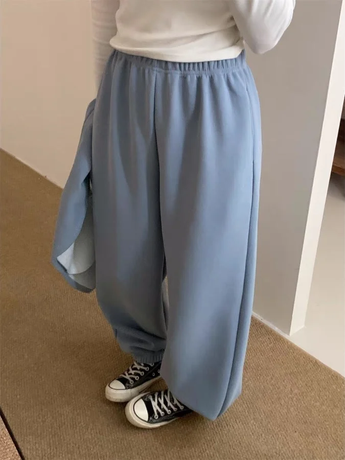 Pantalones de pierna ancha informales con forro de Fce para mujer, conjunto de dos piezas holgado y adelgazante de invierno, pantalones de corte recto versátiles