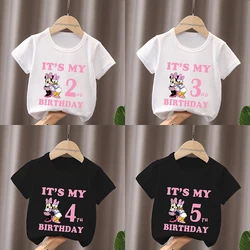 It's My 1 2 3 4 5 6 7 8 9 Years Birthday Boys Girls T shirt Minnie Mouse & Daisy Duck Print Kids Clothes Baby Children T-Shirts