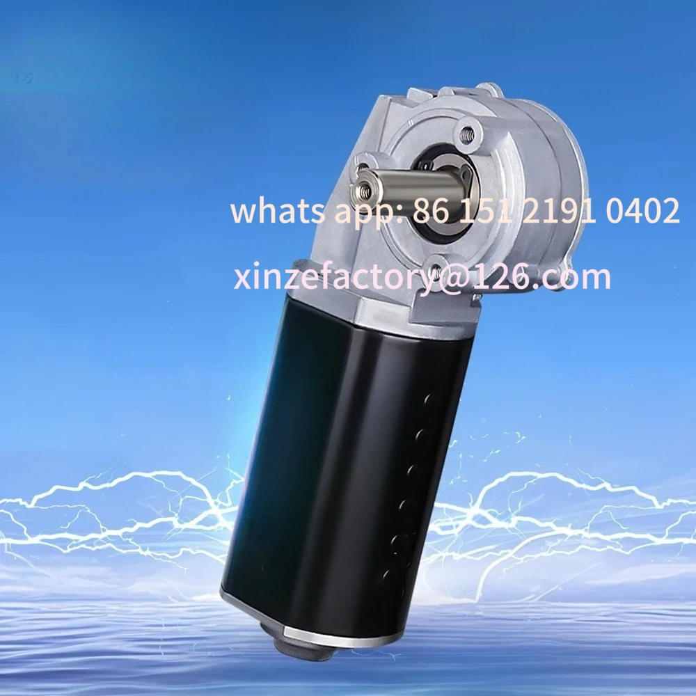 Customizable Gear Motor Forward and Reverse High Torque Slow Speed Power Failure Self-locking Motor Reducer Motor