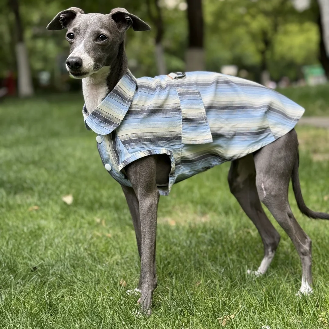Sun Protection Blue Striped Shirt for Italian Greyhound Ice Silk Fiber Sleeveless Green Coat for Mid Dogs Summer Hat For Whippet view 4