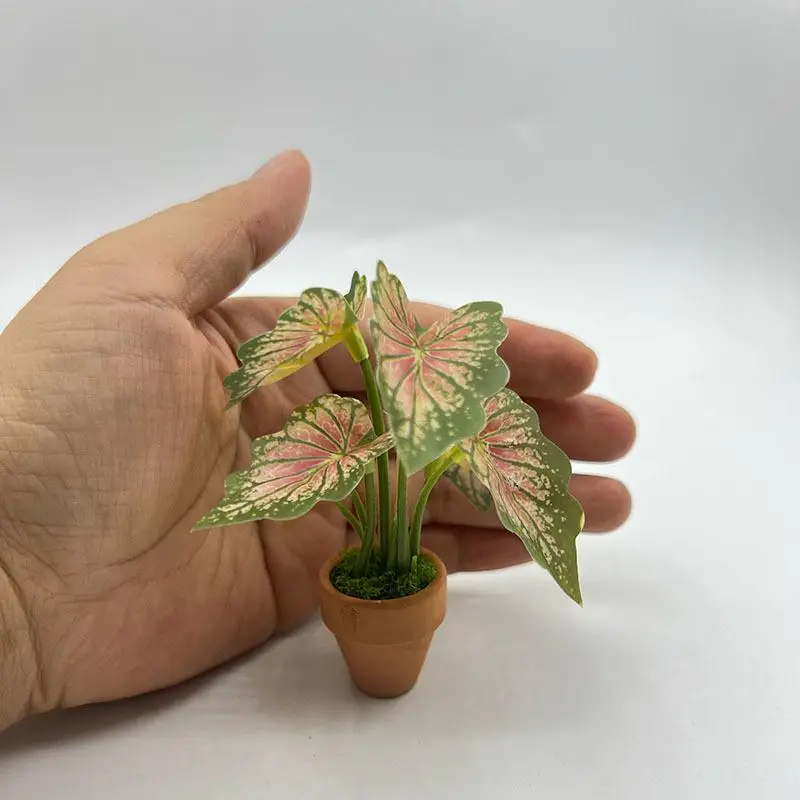 1Pcs Miniature Scandinavian Style Decoration Dollhouse Green Plants Mini Taro Turtle Back Green Potted Plants Props Model
