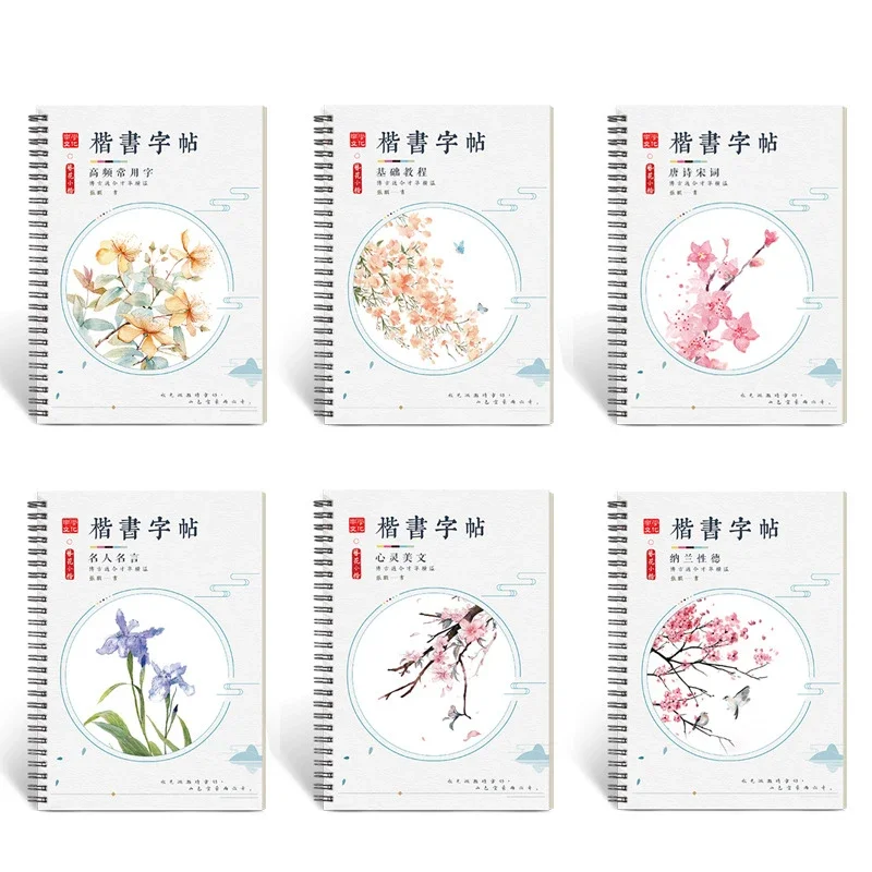 6 pcs 3D Chinese Characters Reusable Groove Calligraphy Copybook Erasable pen Learn hanzi Adults Art writing books Send gifts