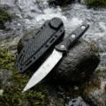 aa