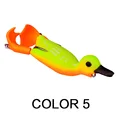 Color 5