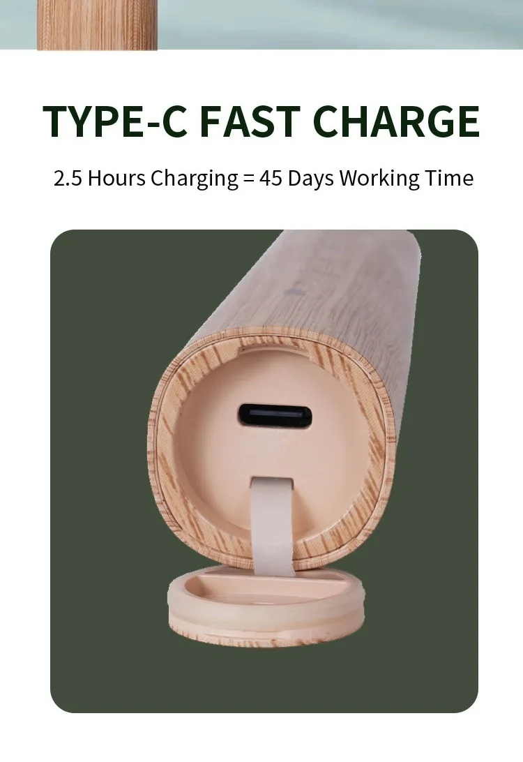 Sonic Electric Toothbrush Eco-friendly Bamboo Smart 5 Mode USB Fast Charge IPX7 Waterproof Soft Home Teeth Whitening Gift Set